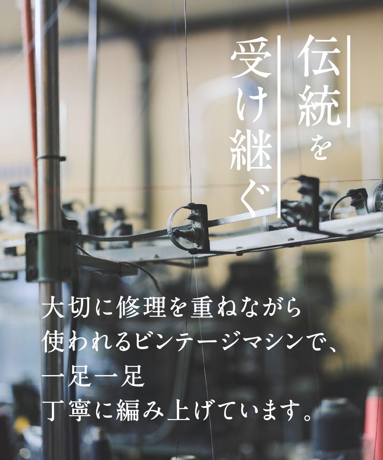 足元のアクセントを楽しむクラシカル靴下セット