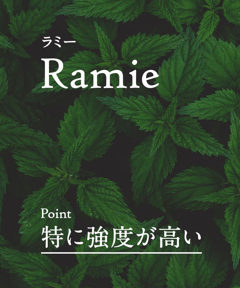 画像6-1