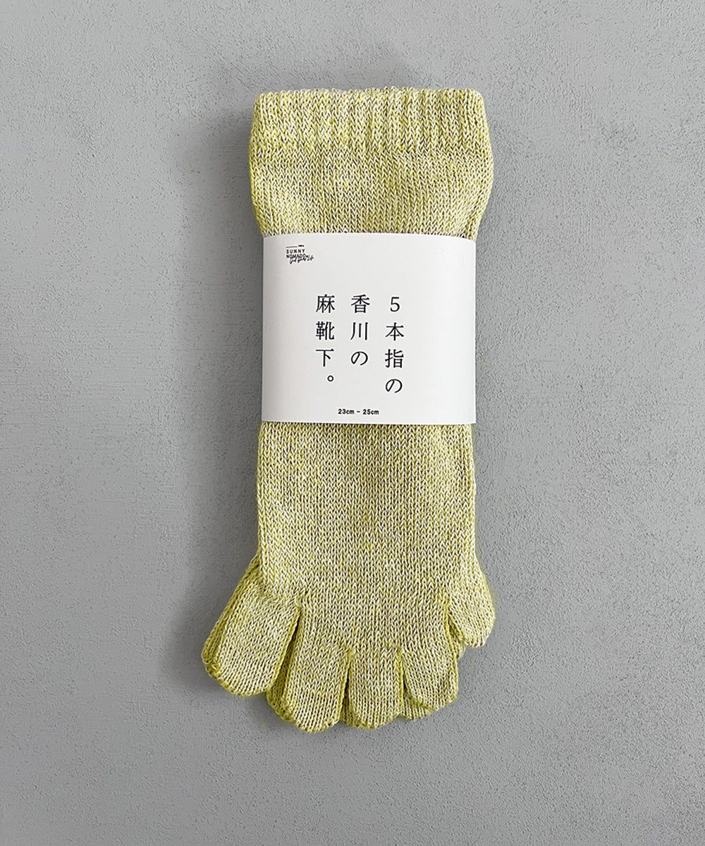 TMSO-189【 5本指の香川の靴下 】